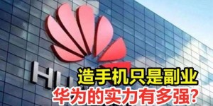 华为公司除了主业外，还涉足哪些副业领域？