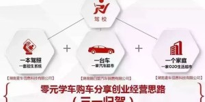 杏林春的经营效益如何？它真的能带来可观的利润吗？