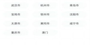 是什么让自助下单如此便捷？揭秘业务网址背后的平台优势？