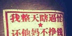 你是否听说过这种神奇的‘赚钱布’？它真的能带来财富吗？