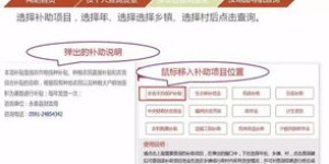 如何在许昌使用自助交税平台？这是您的操作指南吗？