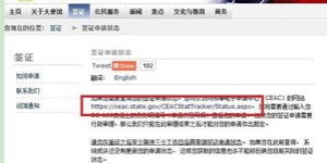 如何快速查询菲律宾签证状态？自助网站指南助你轻松搞定！