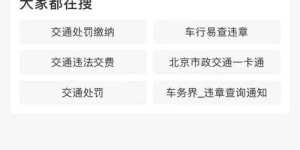 如何快速查询车辆违章信息？自助查询网站指南