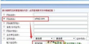 如何登录延安自助开票平台的官方网站？