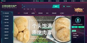 在大连开设特产店能否实现盈利？