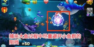 如何高效捕鱼实现盈利最大化？