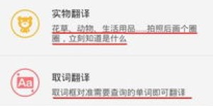 如何利用菜单翻译App开启赚钱副业？平台靠谱吗？