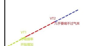 家里如何进行高效减脂运动？有哪些实用方法推荐？