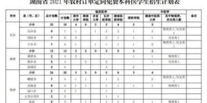 如何在大学期间规划未来，确保毕业后能实现高收入？