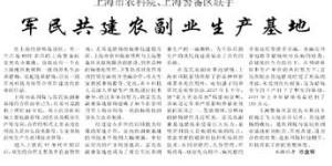农副业合作基础如何筑牢？探寻成功合作的秘诀