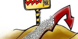 大蒜和大葱哪个更赚钱？市场行情分析告诉你真相