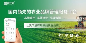 加入种植业合作社，真的能实现盈利吗？