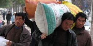 农村人外出打工，收入真的会比在家务农高吗？