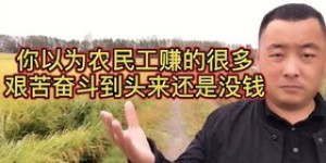 农民为何热衷于发展副业，背后有何深层原因？