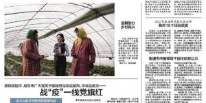 海门人究竟如何？他们的品质是否值得称赞？