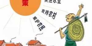 养螃蟹与养鱼，哪个更赚钱？经济效益对比分析