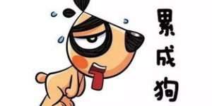 为什么上班赚钱总是既难又累？背后的真相是什么？