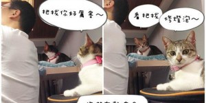 喵副业是否合法可靠？带你一探究竟