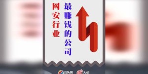 哪家小公司竟成全球最赚钱的黑马？
