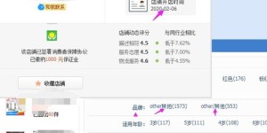 代购新手如何有效引流并招募人才实现盈利？