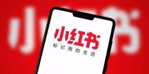 小红书电脑版使用能带来收益吗？如何实现盈利？