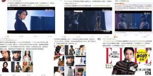 500万粉丝的宠物博主，他们的收入究竟如何？