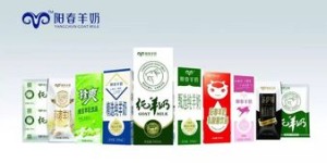 阳春羊奶品质如何，口感是否真的好喝？