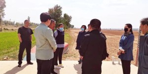 如何在日本开启模特事业并实现盈利？