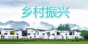 农村副业如何助力增收？探索农副业活动的奥秘与实践