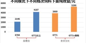 养殖规模达到多少才能实现盈利？新手必看的经济效益分析