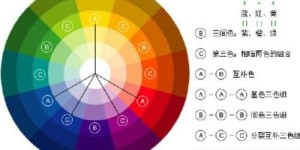 品红究竟为何物？其颜色又是怎样的独特风采？