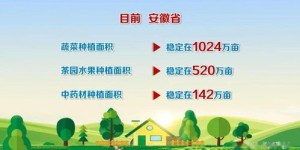 农业副业产品如何助力农民增收？探索乡村经济新增长点