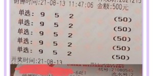 三位数彩票包真的能赚钱吗？真相究竟如何？