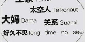 中式英语真的能带来经济收益吗？探讨其市场潜力