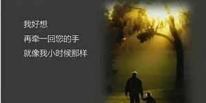 你是否也在为生计奔波，深陷赚钱的英文世界无法自拔？