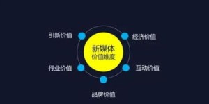 如何在国外新媒体平台上实现盈利？有哪些有效策略？