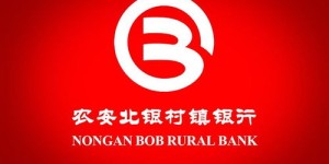 农安北银村镇银行服务如何？值得信赖吗？
