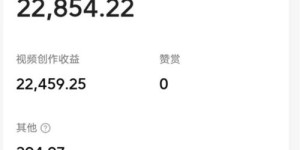 林根副业真的能带来额外收入吗？它的盈利模式是怎样的？