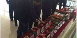 在新疆经营药材生意真的能盈利吗？