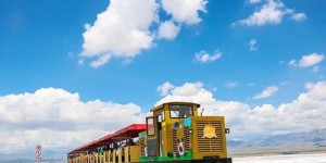 想体验天津自助游？哪个团购平台能提供最佳旅游服务？