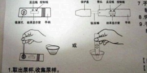 哪些因素会影响怀孕试纸结果，导致无法准确测出怀孕？