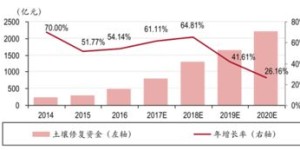 当前种植哪种果树最具经济效益？市场趋势分析