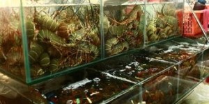 如今经营海鲜餐馆能否盈利？市场前景如何？