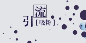如何成为副业项目的引流高手，招募下家轻松赚钱？