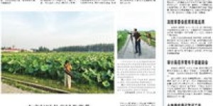 如何通过帮扶贫困户实现可持续收益？