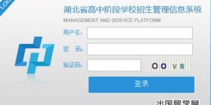 如何访问自助查询考试成绩的官方网站？这样做能快速找到成绩吗？