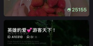 哪款聊天赚钱软件值得信赖？真实可靠的选择有哪些？