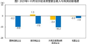 一枝南南是如何实现高效盈利的？背后有何独特策略？
