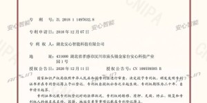 哪些发明和专利最能带来丰厚收益？探秘高利润项目