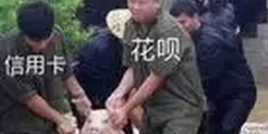 开发商投资学校商场项目，真的能盈利吗？